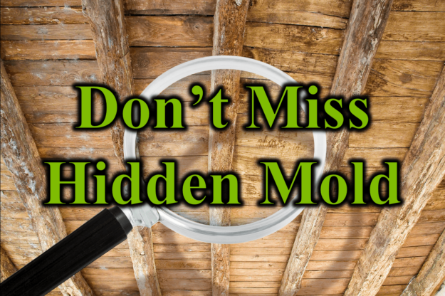 Dont Miss Hidden Mold