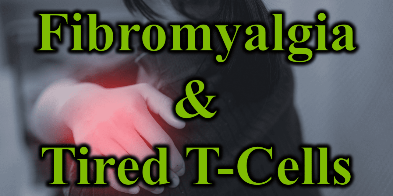 Fibromyalgia and Tired T Cells