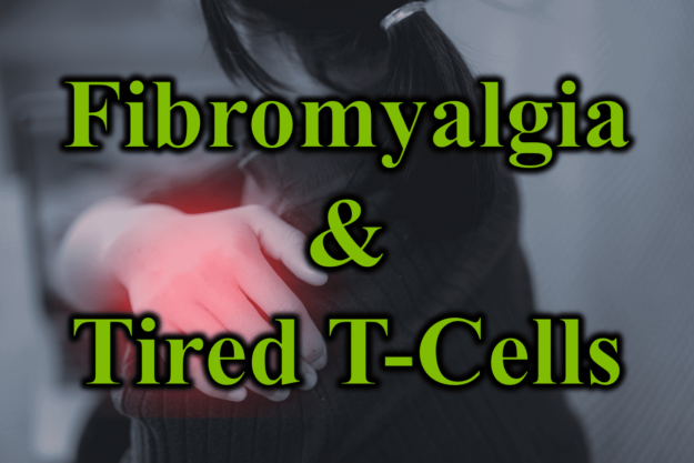 Fibromyalgia and Tired T Cells