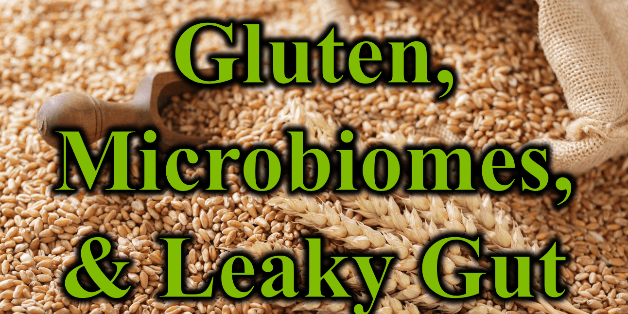 Gluten, Microbiomes, & Leaky Gut