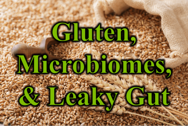Gluten, Microbiomes, & Leaky Gut