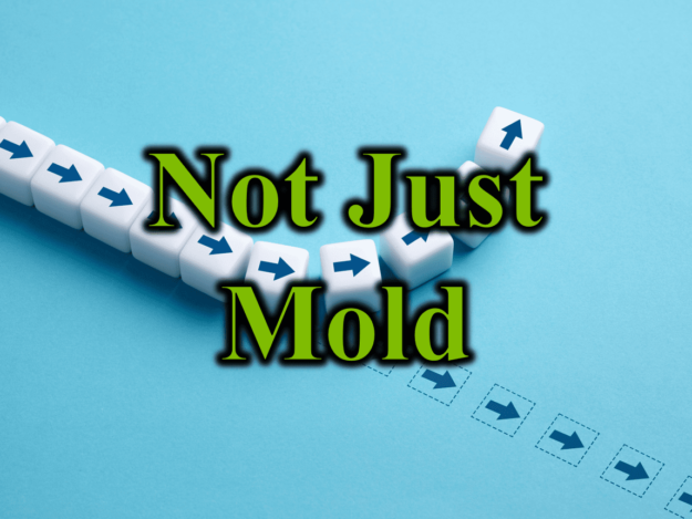 Not Just Mold