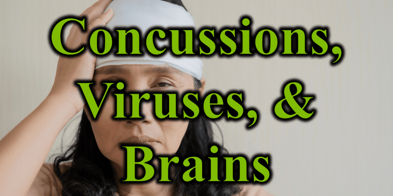 Concussions, Viruses, & Brains