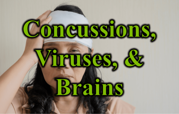 Concussions, Viruses, & Brains