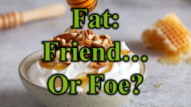 Fat Friend or Foe