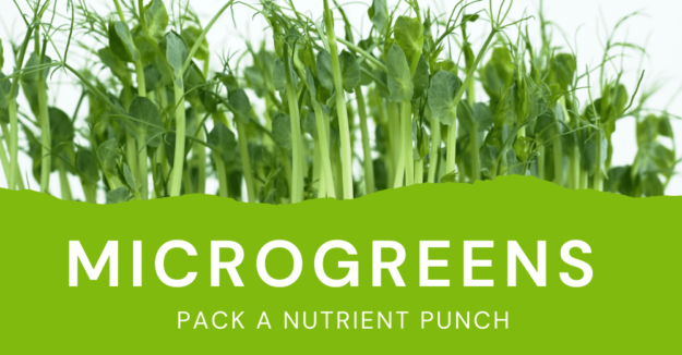 Microgreens