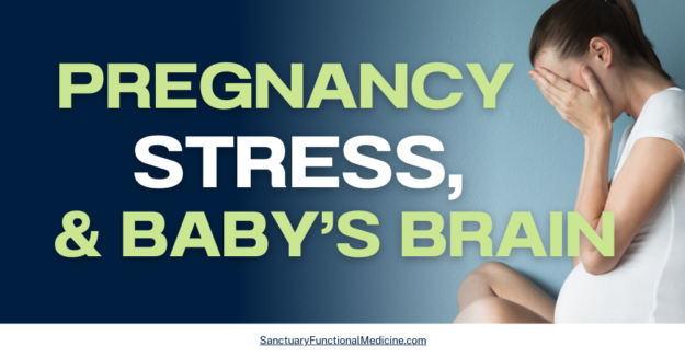 Pregnancy Stress Babys Brain