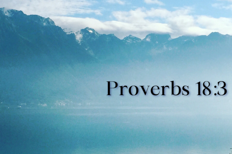 Prov 18 3