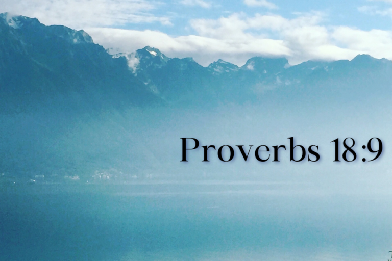 Prov 18 9