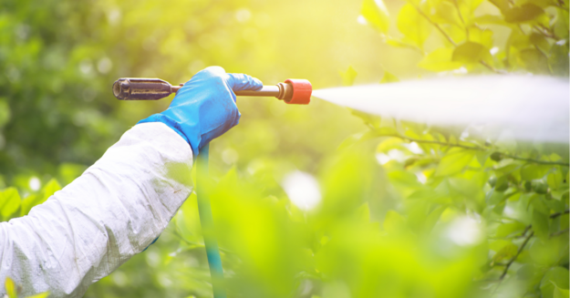 WP_Featured Image_1200 x 628 – 2025-12-19T002013.617