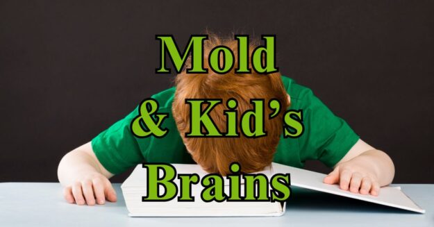 Mold & Kids Brains