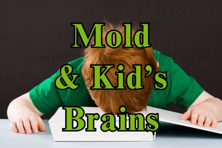 Mold & Kids Brains