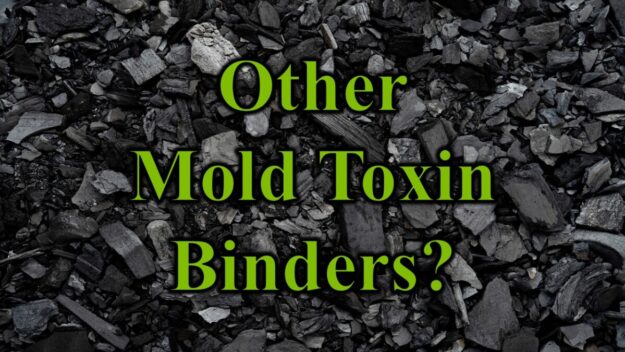 Other Mold Toxin Binders