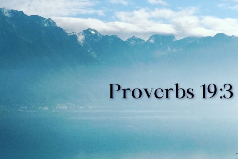 Prov 19 3