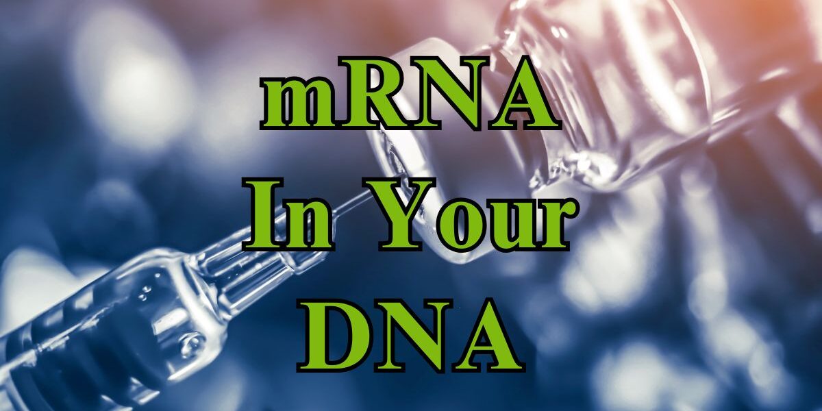 mRNA May Insert