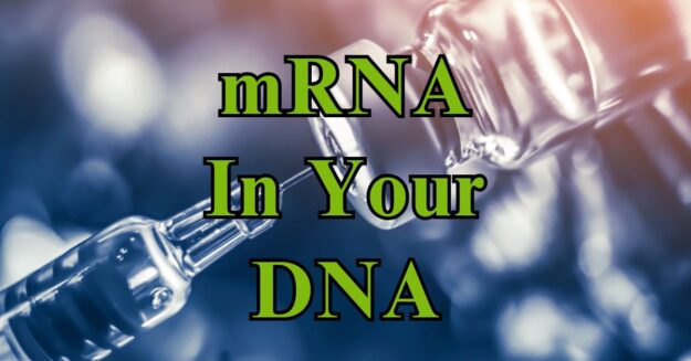 mRNA May Insert