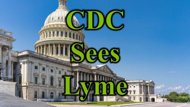 CDC Sees Lyme