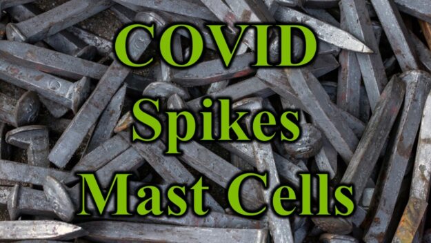 COVID Spikes Mast Cells