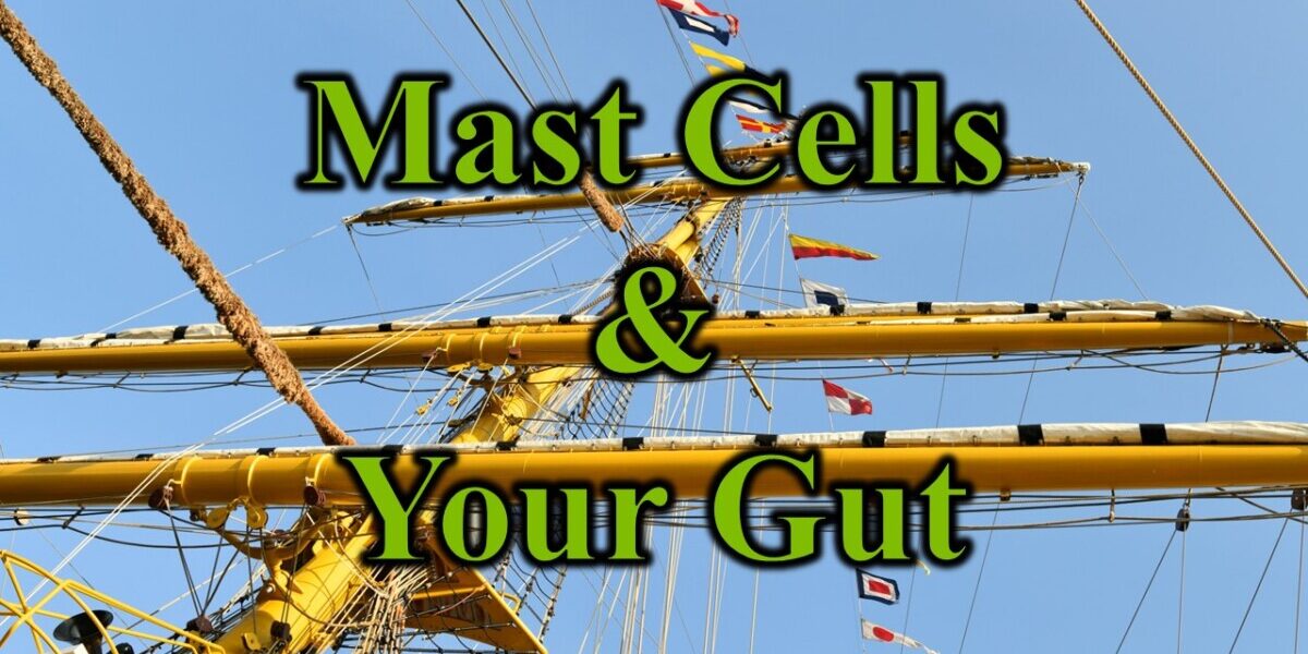 Mast Cells & Your Gut