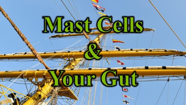 Mast Cells & Your Gut