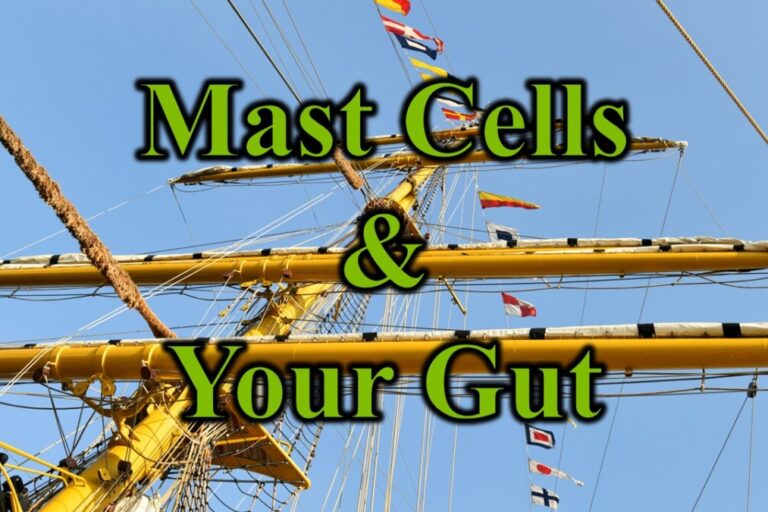 Mast Cells & Your Gut