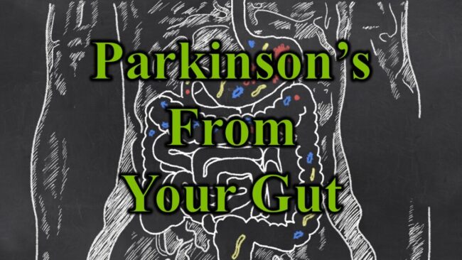 Parkinsons From Your Gut