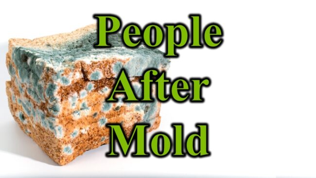 People After Mold