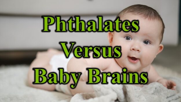 Phthalates Versus Baby Brains