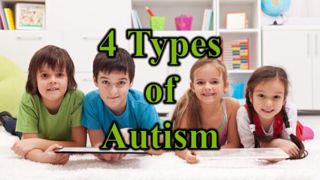 4 Types of Autismm