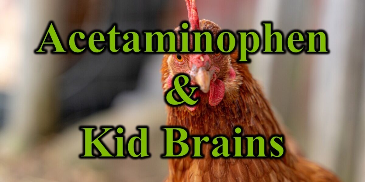 Acetaminophen & Kid Brains