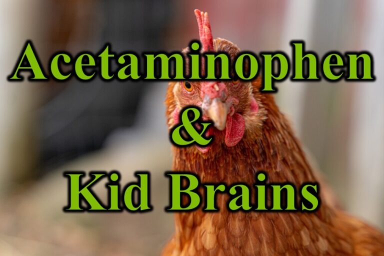 Acetaminophen & Kid Brains