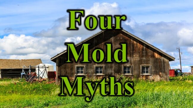 Four Mold Myths