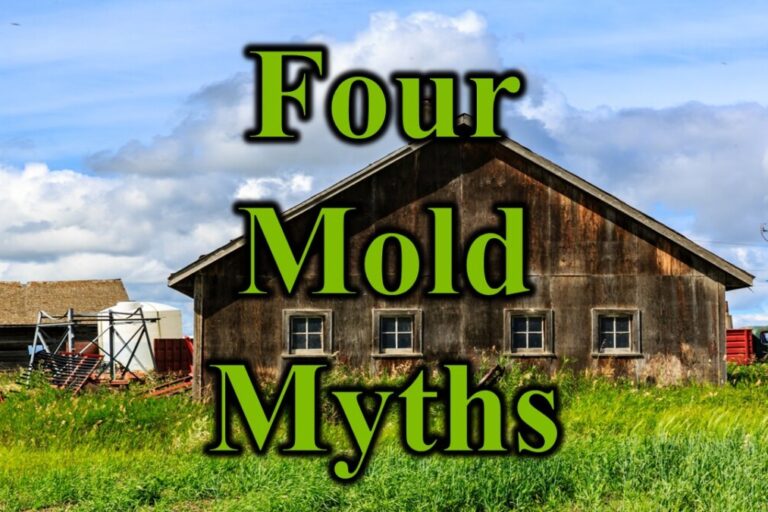 Four Mold Myths