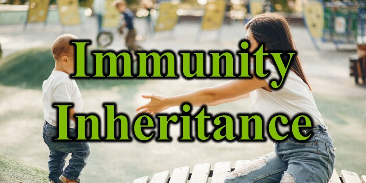 Immunity Inheritance