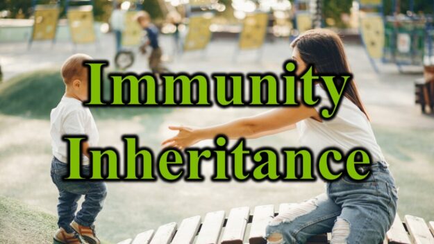 Immunity Inheritance