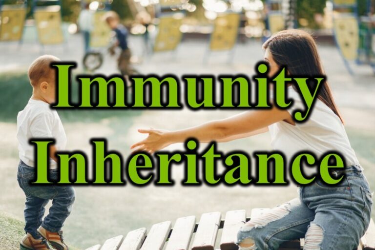 Immunity Inheritance