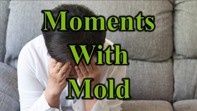 Moments With Mold