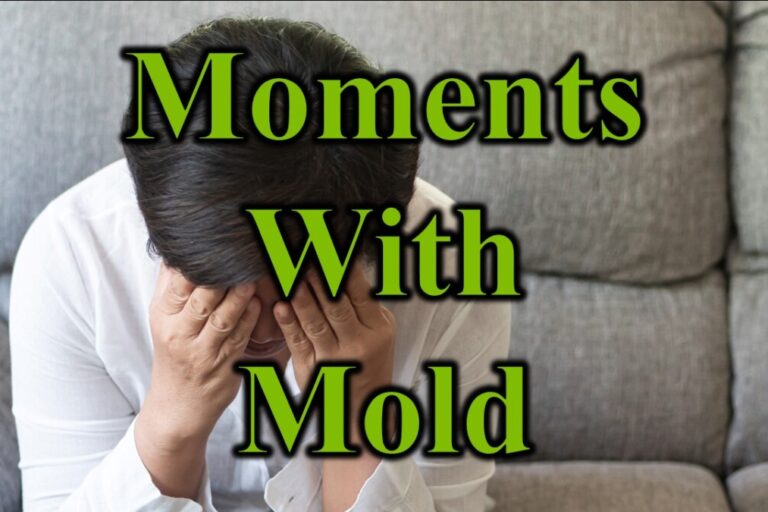 Moments With Mold