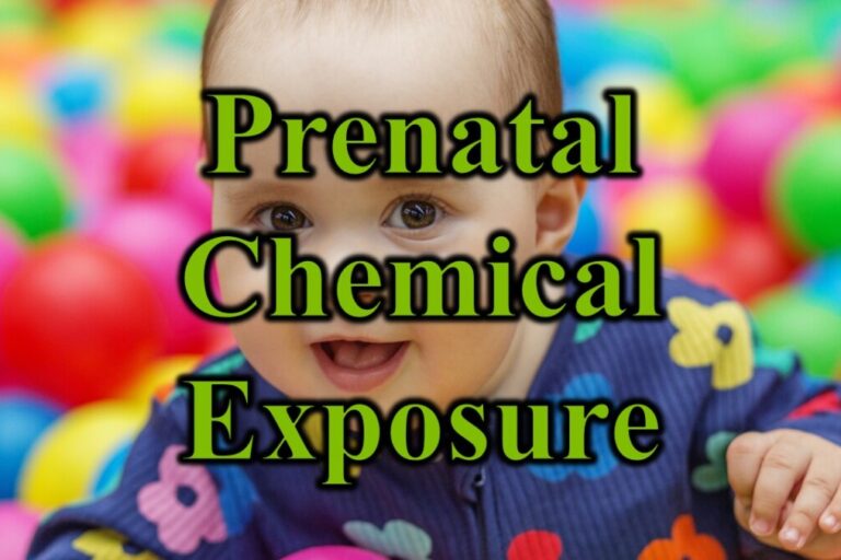 Prenatal Chemical Exposure