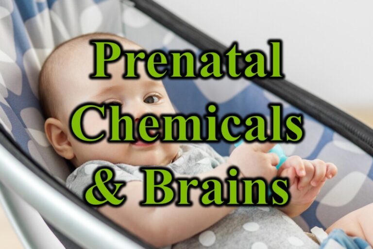 Prenatal Chemicals & Brains