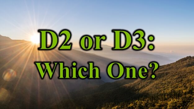 D2 or D3 Which One Picture of the sun with modified title text