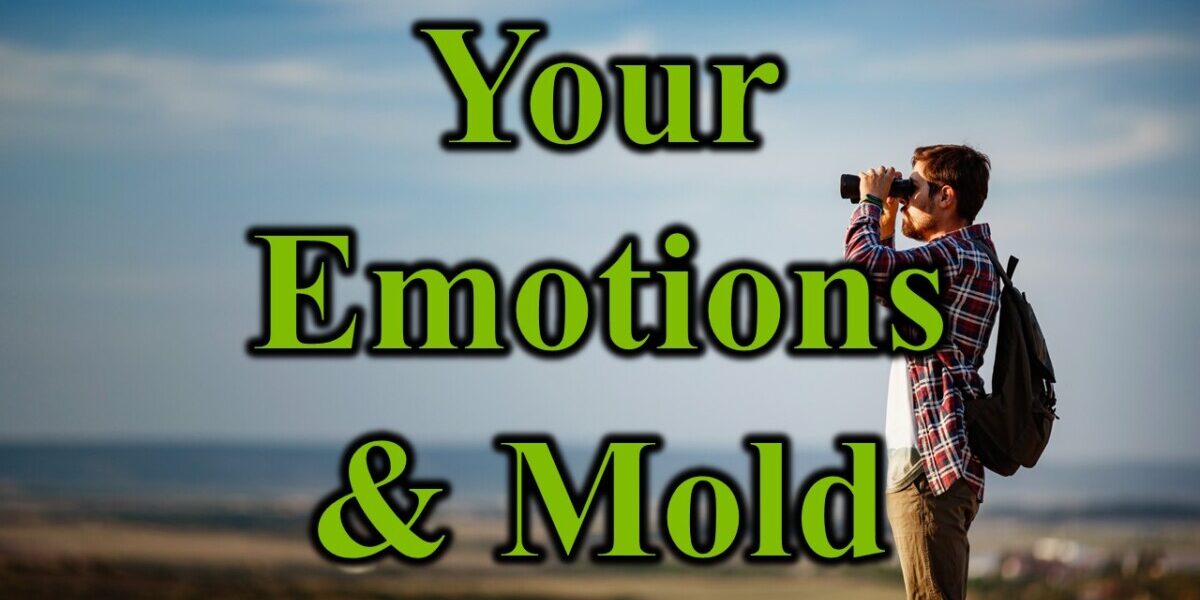 Your Emotions & Mold