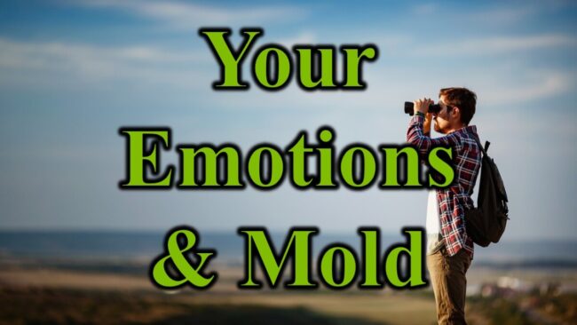 Your Emotions & Mold