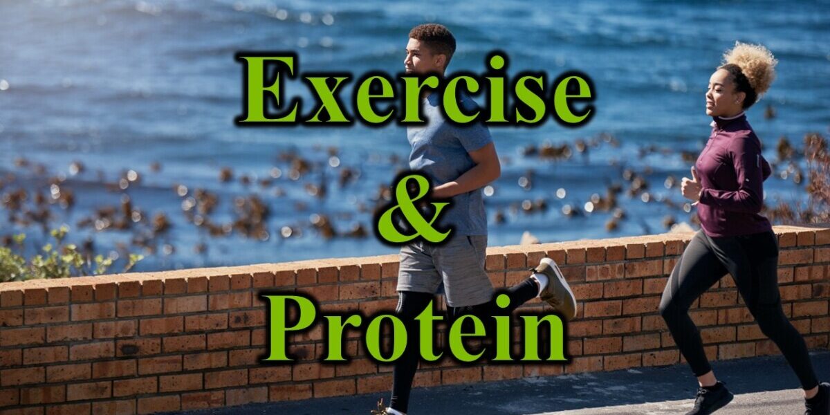 Exercise & Protein