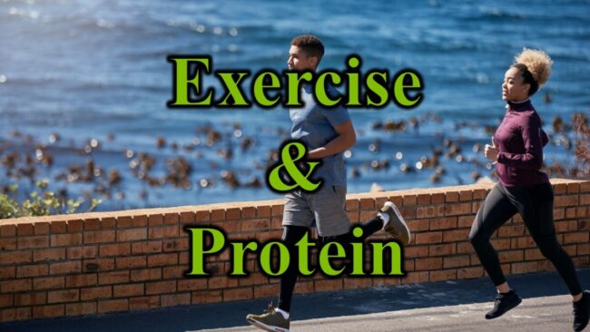 Exercise & Protein