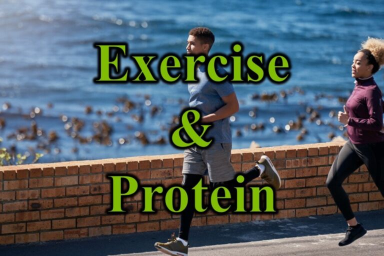 Exercise & Protein