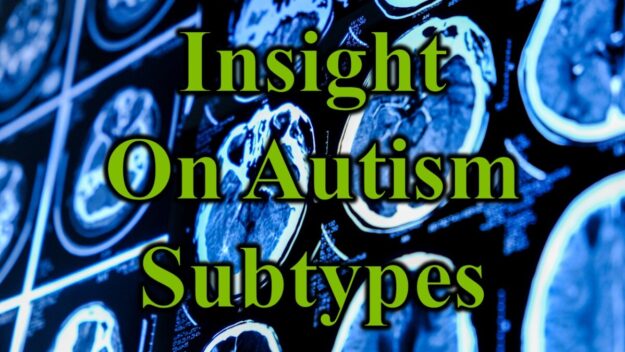 Insight On Autism Subtypes