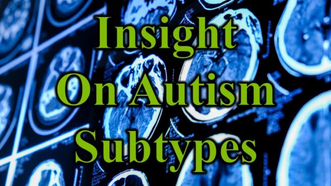 Insight On Autism Subtypes