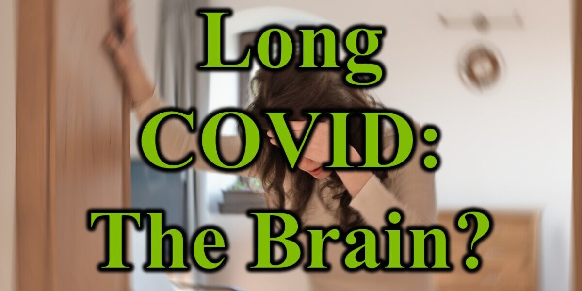Long COVID The Brain