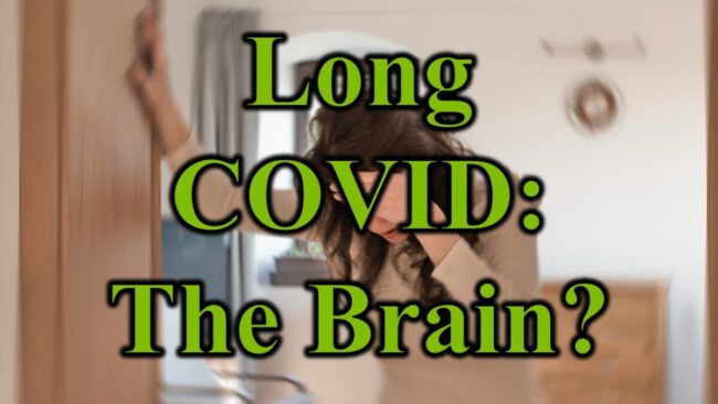 Long COVID The Brain
